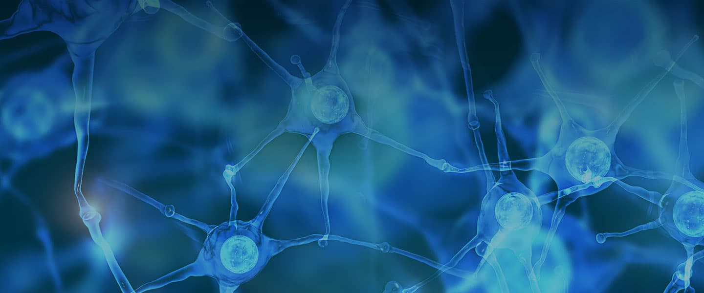 нейроны нервной системы